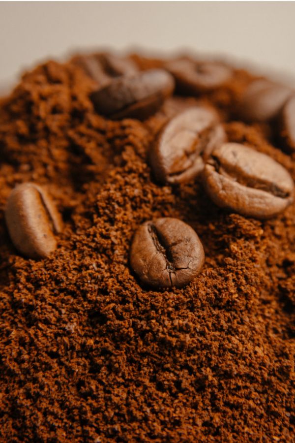 Coffee Extract