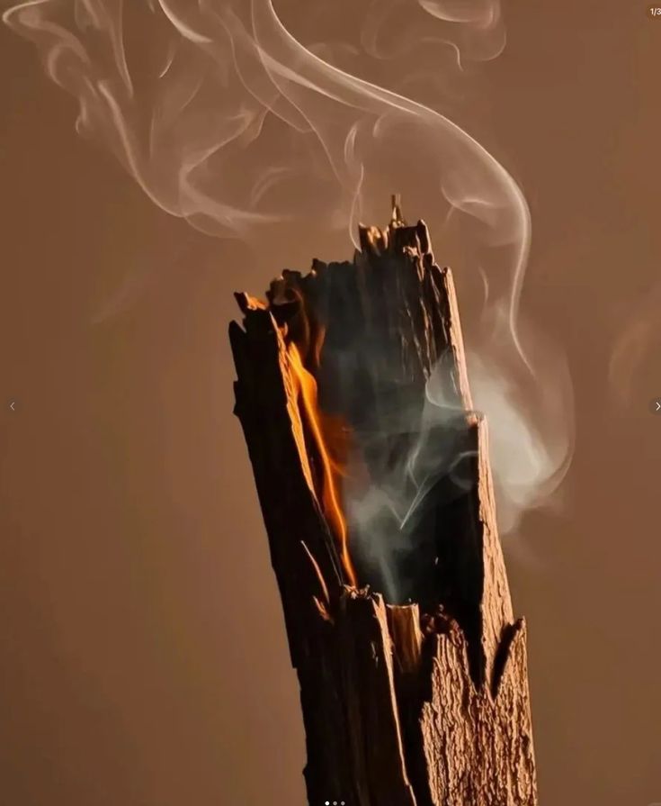 Agar Wood Oil